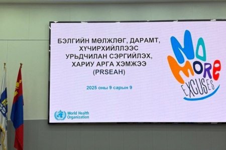 ДЭЛХИЙН ЭРҮҮЛ МЭНДИЙН БАЙГУУЛЛАГААС ЗОХИОН БАЙГУУЛСАН “БЭЛГИЙН МӨЛЖЛӨГ, ДАРАМТ, ХҮЧИРХИЙЛЛЭЭС УРЬДЧИЛАН СЭРГИЙЛЭХ, ХАРИУ АРГА ХЭМЖЭЭ” УУЛЗАЛТ, ХЭЛЭЛЦҮҮЛЭГ ХАМРАГДЛАА