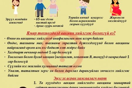 Улирлын томуугийн эсрэг вакциндаа хамрагдаарай