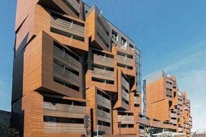 Basket Apartment