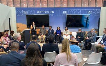 International Year of Rangelands and Pastoralists side event 