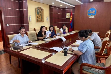 ЭМНЭЛГИЙН АЮУЛТАЙ ХОГ ХАЯГДЛЫГ СТАНДАРТЫН ТҮВШИНД ЦЭГЦЭЛНЭ.