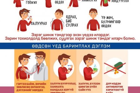Томуу, томуу төст өвчнөөс сэргийлье