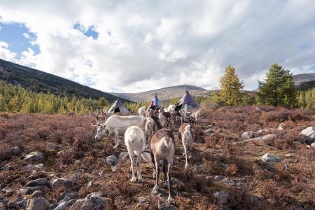 Why a Tailor Made Trip Is the Best Way