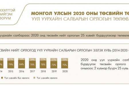 МОНГОЛ УЛСЫН 2020 ОНЫ ТӨСВИЙН ТӨСӨЛ УУЛ УУРХАЙН САЛБАРЫН ОРЛОГЫН ТӨЛӨВЛӨЛТ