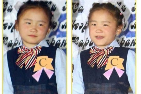 Бие засахаар гарч явсан 11 настай охин сураггүй алга болжээ   