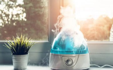 Гэртээ чийгшүүлэгч худалдаж авахаас өмнө өгөх зөвлөмжүүд