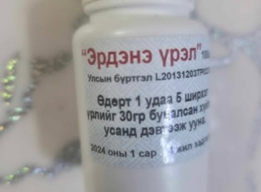 ЭРДЭНЭ ҮРЭЛ
