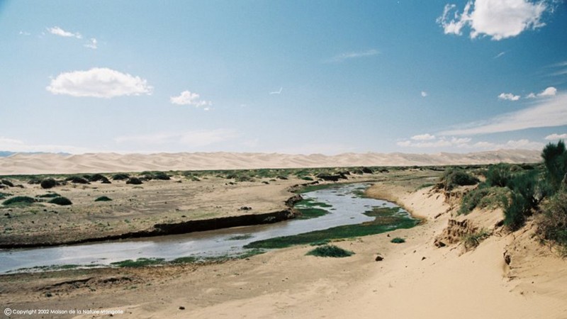 Mongolei Gobi Desert