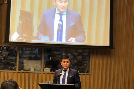 Цөмийн зэвсгийг бүрэн устгах тухай олон улсын уулзалтад оролцов
