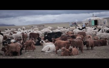 Rangeland degradation and restoration/Бэлчээрийн доройтол ба нөхөн сэргээлт