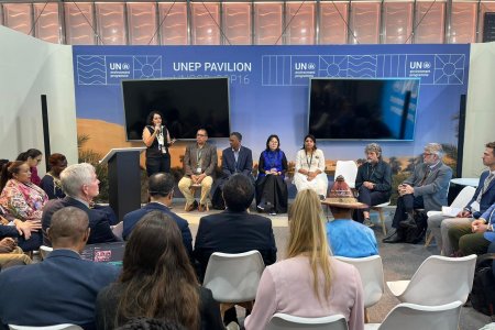 International Year of Rangelands and Pastoralists side event 