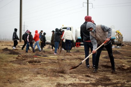 Бүх нийтийн мод тарих өдөрлөгөөр 2000 мод тарилаа