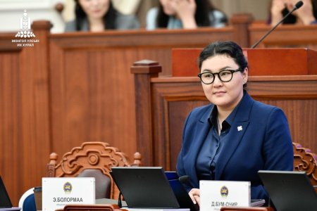 УИХ-ын гишүүн Э.Болормаад хилийн хориг тогтоожээ