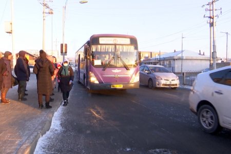 Энэ он дуусахаас өмнө 300 гаруй автобус шинээр оруулж ирнэ