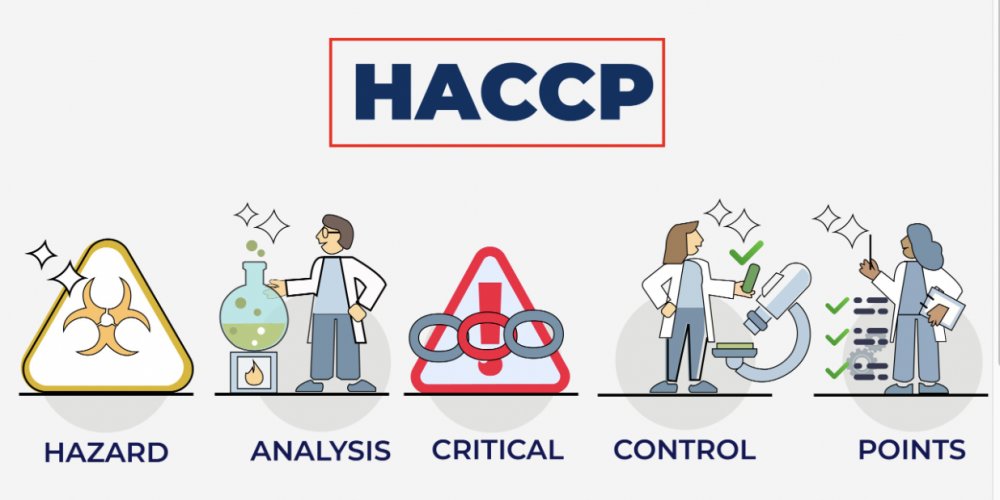 Аюулын дүн шинжилгээ эгзэгтэй цэгийн хяналтын тогтолцоо HACCP