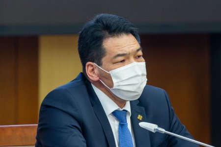 С.Энхболд: Цар тахлын үед нэг их наяд 617,3 тэрбум төгрөгийг эрүүл мэндийн салбарт зарцуулсан