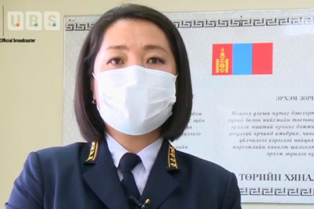 Л.Долгормаа: Экспорт, импортын бараа, бүтээгдэхүүнд 35 байцаагч хяналт, шалгалт хийдэг