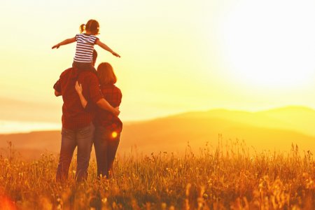 Гэрлэлтээ цуцлуулсан хосуудын 60 гаруй хувь нь 10-аас дээш жил хамтран амьдарсан гэр бүл байна