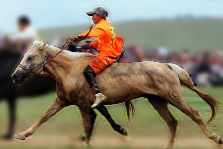 НҮБ: Хурдан морь унаач хүүхдүүдийн талаар мэдэгдэл гаргалаа