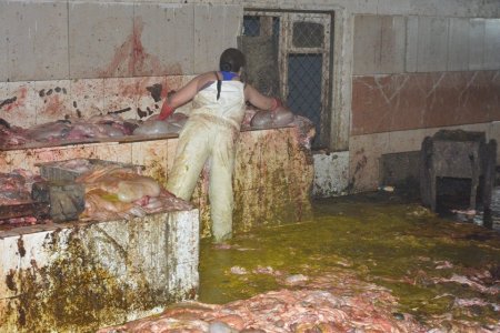 Эмээлтийн мал төхөөрөх газруудад зөрчлийн хэрэг нээлээ