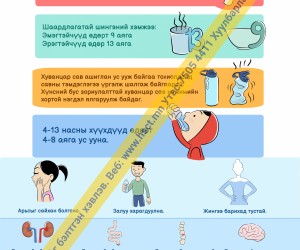 Ус уухын ач холбогдол (D1D66)