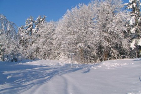 Уулархаг нутгаар нойтон цас орно