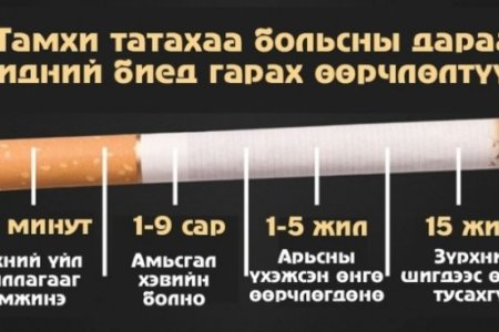 НЭМҮТ: Тамхигүй ирээдүйг хамтдаа бүтээж чадна