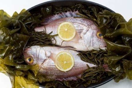 ДЭЛХИЙН ТҮҮХЭНД ӨНӨӨДӨР: Нэгдүгээр сарын 9