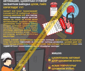 Цоож пайз бол амь насны баталгаа (Z1S137) 