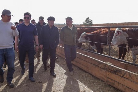 У.Хүрэлсүх: ХАА, газар тариалан, мал аж ахуйг эдийн засгийн тэргүүлэх салбар болгоно
