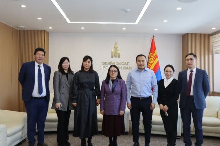 Жендэрийн эрх тэгш байдлыг хангах бодлогын хөтөлбөр хэрэгжүүлнэ