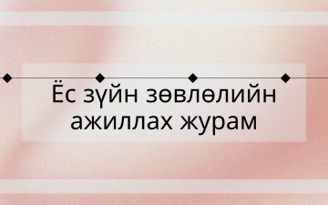 Ёс зүйн зөвлөлийн ажиллах журам