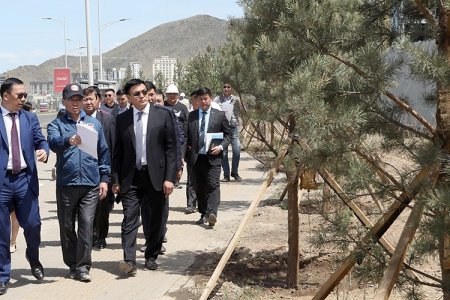 Наадамчдын зам дагуух тохижилт, ногоон байгууламжийг засч байна 