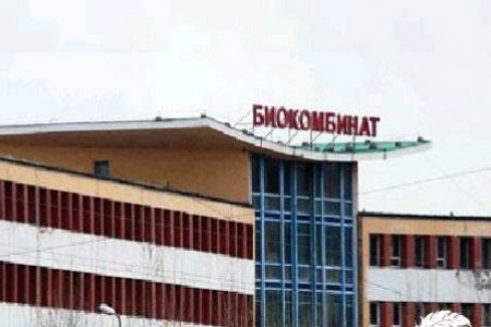 20 гаруй хүнд хордлогын шинж илэрчээ