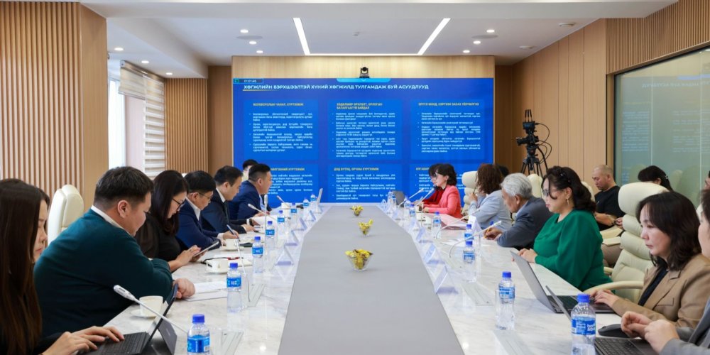 ХӨГЖЛИЙН БЭРХШЭЭЛТЭЙ ХҮНИЙ ЭРХИЙГ ХАНГАХ ЗӨВЛӨЛ, ДЭД ЗӨВЛӨЛИЙН УУЛЗАЛТ БОЛОВ 