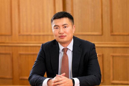 Хөгжлийн банкны захирал асан Н.Мандуулыг ШӨХТГ-ын даргаар томилно