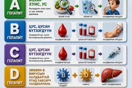 Вируст гепапитын халдварын дамжих замууд