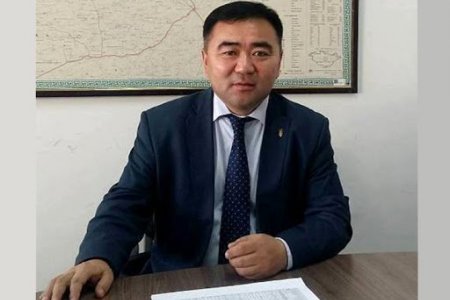 Ц.Болорчулуун: Өвлийн хүлэмж барьчихвал 16 мянган тонн ногоог дотооддоо тариалах боломжтой