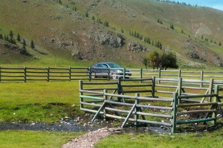 Булгийн эхийг тохижуулж, хамгаалалтад авлаа