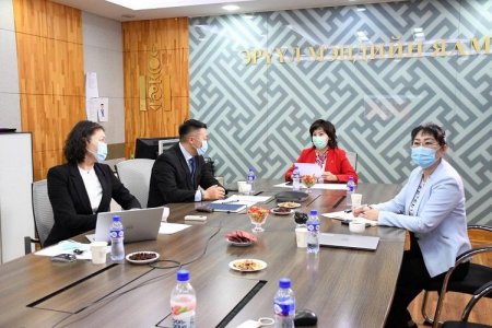 ЭМЯ: Дэлхийн эрүүл мэндийн 73 дугаар ассамблей виртуал хэлбэрээр хуралдаж байна