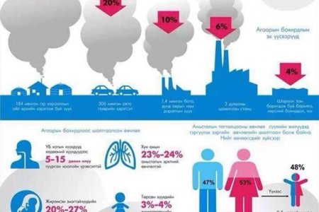 НЭМҮТ: Агаарын бохирдлоос эрүүл мэндээ хэрхэн хамгаалах вэ