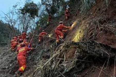 БНХАУ-ын “Eastern Air Lines” компанийн осолдсон нисэх онгоцны хар хайрцгийг олжээ
