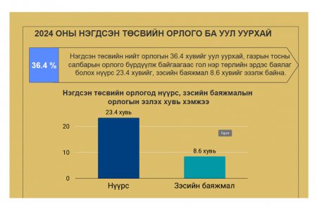 2024 оны нэгдсэн төсвийн гүйцэтгэлийн аудитын тайлангаас