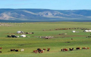 ONE DAY TOUR TO COMMUNITY OF HERDERS IN THE STEPPE REGION