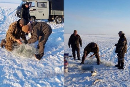 Хууль бусаар тавьсан 30 ширхэг торыг хураан авч, 270 орчим загас нууранд нь буцааж тавилаа
