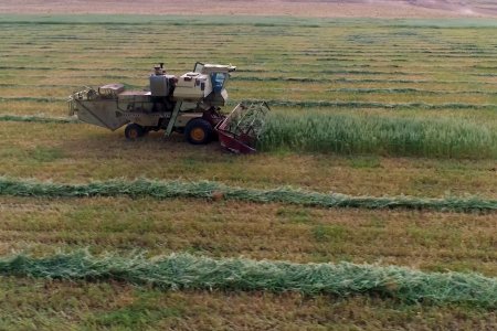 2023 онд дотоодын хүнс үйлдвэрлэгчдэд 135 тэрбум төгрөгийн зээл олгоно