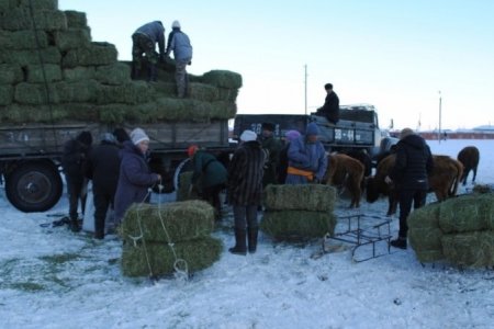 Өвөлжилтийн бэлтгэл ажил 96.4 хувьтай байна