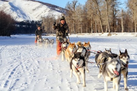 Оны эхний сарын байдлаар Монгол Улсад нийт 23,951 жуулчин иржээ