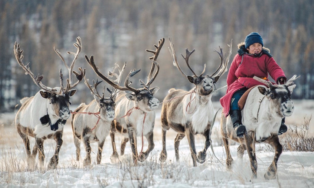 Winter Trip with Reindeer Herders