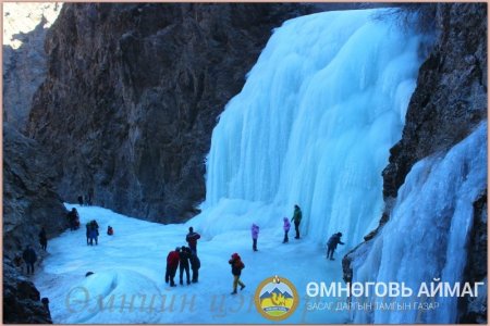 ӨМНӨГОВЬ: Мухар шивэртийн аманд менежментийн төлөвлөгөөг хэрэгжүүлэх төслийн сонгон шалгаруулалт зарлагджээ